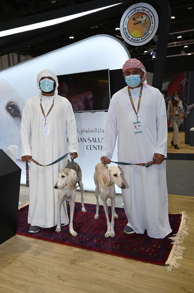 Deuxième jour consécutive du Salon international de la Chasse et de l’Equitation 10 - Le Progrès Egyptien Deuxième jour consécutive du Salon international de la Chasse et de l’Equitation 9 - Le Progrès Egyptien