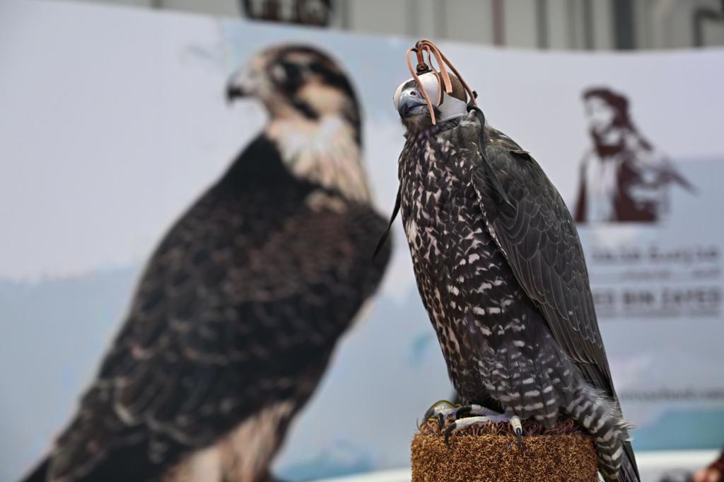 Deuxième jour consécutive du Salon international de la Chasse et de l’Equitation 14 - Le Progrès Egyptien Deuxième jour consécutive du Salon international de la Chasse et de l’Equitation 13 - Le Progrès Egyptien