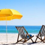 De la terrasse à la classe, adieu à la paresse ! 12 - Le Progrès Egyptien De la terrasse à la classe, adieu à la paresse ! 11 - Le Progrès Egyptien