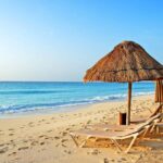 De la terrasse à la classe, adieu à la paresse ! 8 - Le Progrès Egyptien De la terrasse à la classe, adieu à la paresse ! 7 - Le Progrès Egyptien