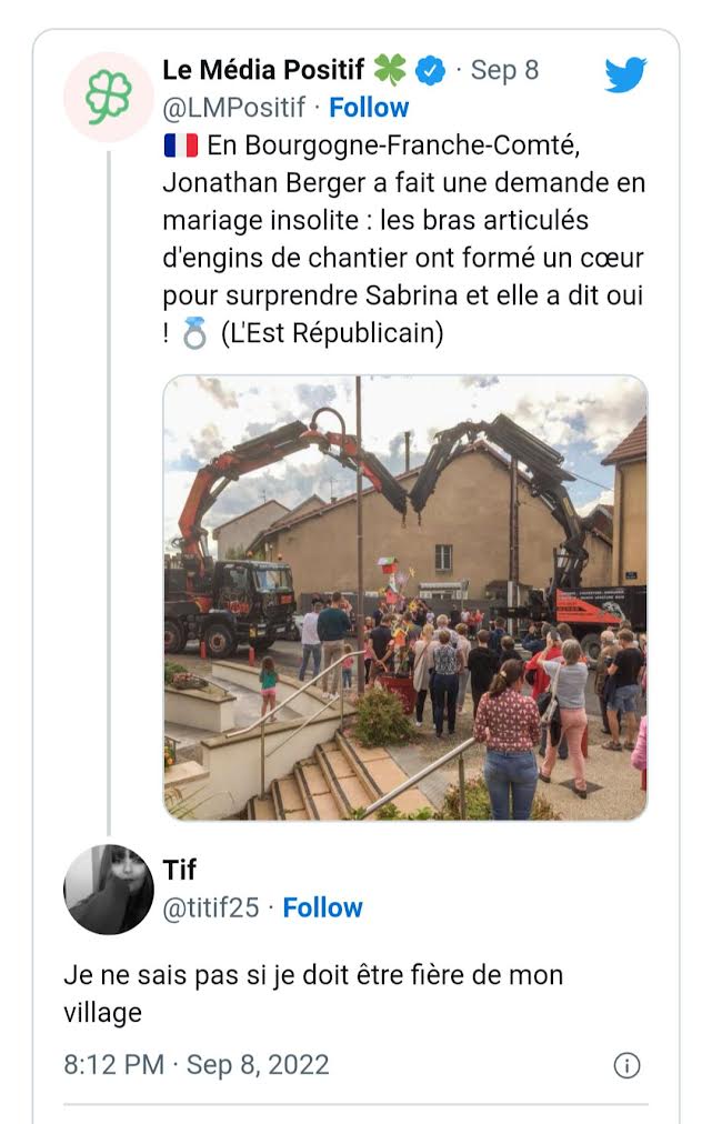 Des employés dessinent un cœur avec des grues pour le mariage de leur patron 4 - Le Progrès Egyptien Des employés dessinent un cœur avec des grues pour le mariage de leur patron 3 - Le Progrès Egyptien