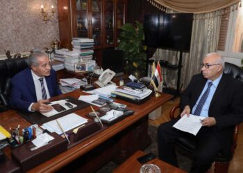 Les directives présidentielles ont permis à l’Egypte de surmonter les crises