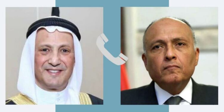 Choucri adresse ses vœux à son homologue koweïtien fraîchement nommé 1 - Le Progrès Egyptien