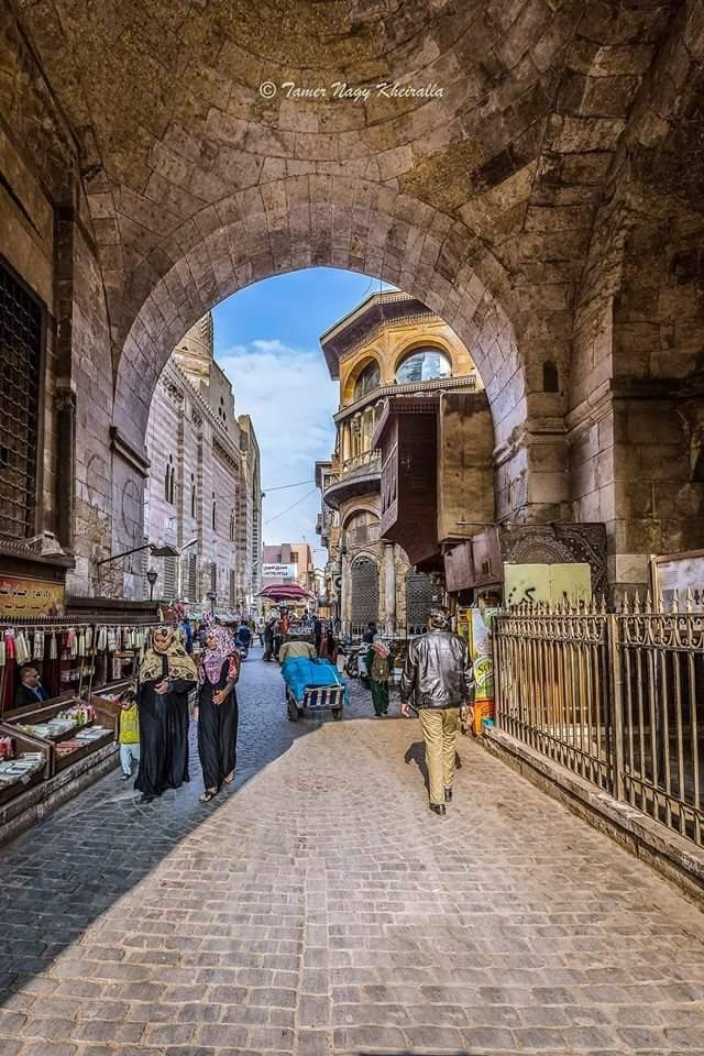 Sans-titre 6 - Le Progrès Egyptien Sans-titre 5 - Le Progrès Egyptien