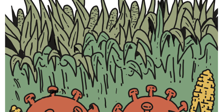 Cachons-nous ! 1 - Le Progrès Egyptien