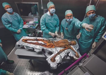 De grandes découvertes archéologiques qui éclairent l’histoire du monde