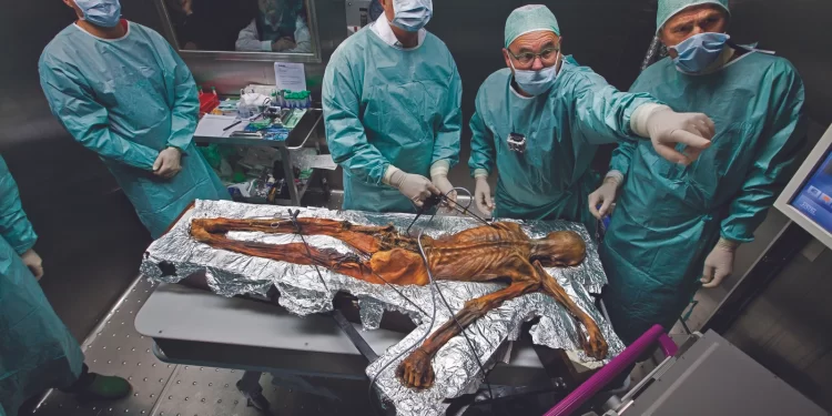 De grandes découvertes archéologiques qui éclairent l’histoire du monde 1 - Le Progrès Egyptien