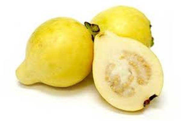 C’est la saison des vitamines C même en parlant 3 - Le Progrès Egyptien