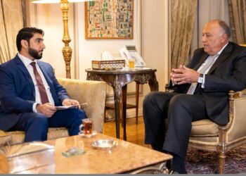 Choucri dans une interview avec l’Agence de presse émiratie “WAM” :L’Égypte et les Émirats arabes unis partagent un intérêt commun