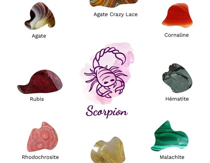 Le Scorpion, le pire signe du zodiaque ? 2 - Le Progrès Egyptien Le Scorpion, le pire signe du zodiaque ? 1 - Le Progrès Egyptien