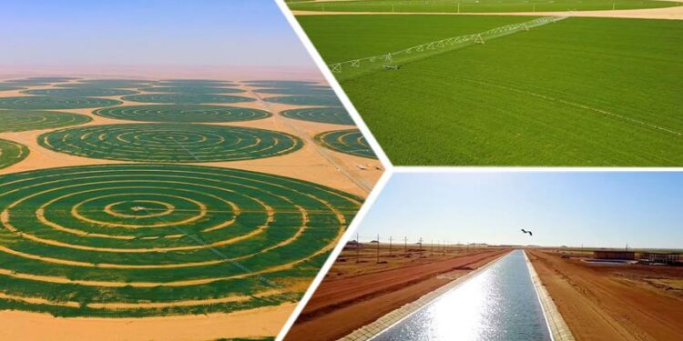 Renaissance agricole sans précédent 2 - Le Progrès Egyptien Renaissance agricole sans précédent 1 - Le Progrès Egyptien