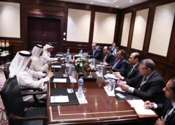 Stimuler les investissements entre l’Egypte et le Qatar