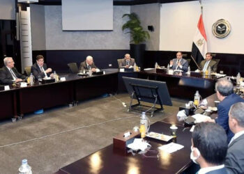 Relations stratégiques de l’Egypte avec les pays du P-O et d’Afrique