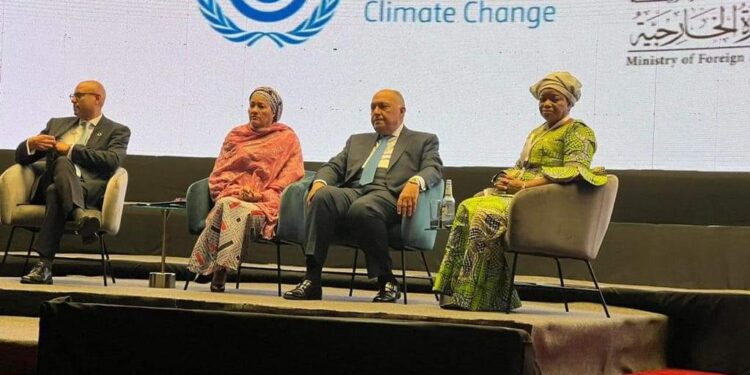 Choucri mène des pourparlers avec le PM de la RDC 1 - Le Progrès Egyptien