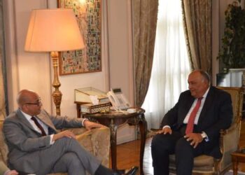 Choucri reçoit le secrétaire exécutif de la CCNUCC