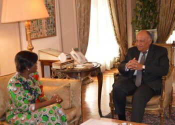 Message au président Al-Sissi de son homologue congolais Denis Sassou-Nguesso