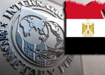 Le FMI valorise les plans de la BCE