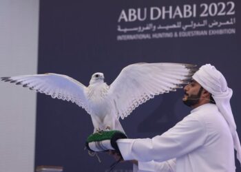 Abu Dhabi : Clôture de l’Exposition Internationale de Chasse et d’Equitation