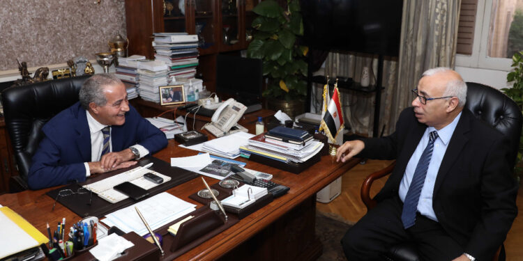 <strong>Les directives présidentielles ont permis à l'Egypte de surmonter les crises</strong> 1 - Le Progrès Egyptien