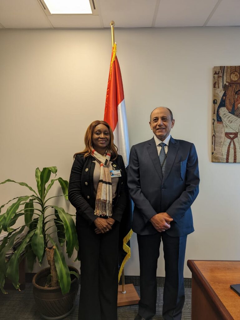 L'Afrique et le développement durable 4 - Le Progrès Egyptien L'Afrique et le développement durable 3 - Le Progrès Egyptien