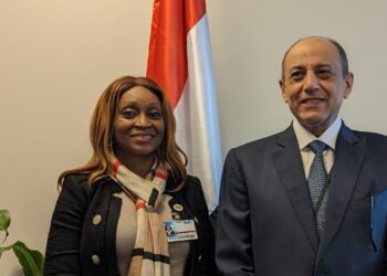 L’Afrique et le développement durable