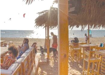 Suez : Le 24 octobre, fête de la résistance populaire