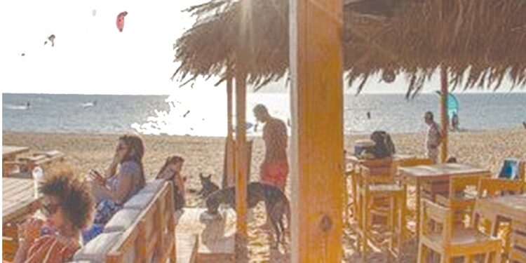 Suez : Le 24 octobre, fête de la résistance populaire 2 - Le Progrès Egyptien Suez : Le 24 octobre, fête de la résistance populaire 1 - Le Progrès Egyptien