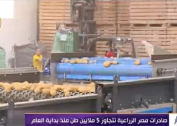 Les exportations agricoles de l’Égypte augmentent