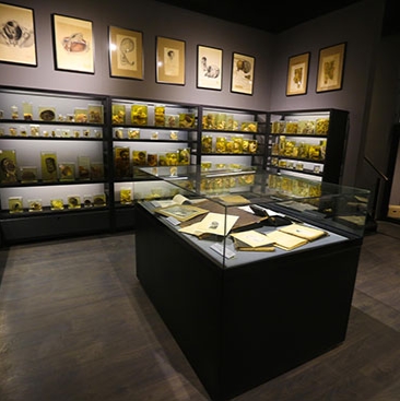 Plus qu’un musée ! 8 - Le Progrès Egyptien Plus qu’un musée ! 7 - Le Progrès Egyptien