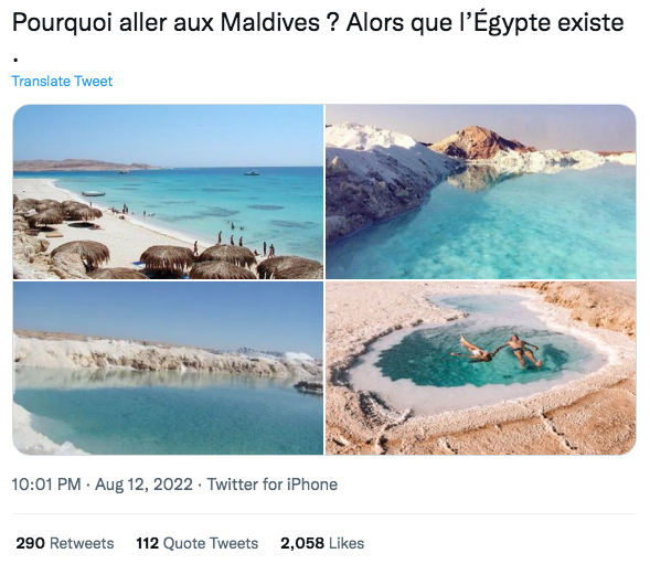 L’Egypte, Charles III et Elon Musk, tendances en vedette 9 - Le Progrès Egyptien