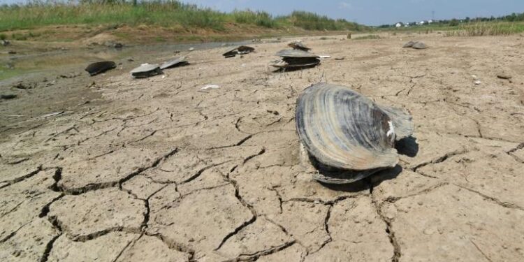 ONU : Les engagements climat “très loin” de répondre à l’objectif de 1,5°C 1 - Le Progrès Egyptien