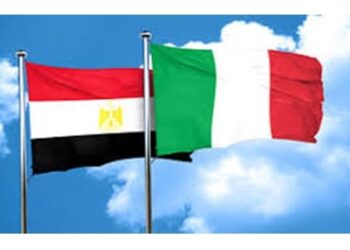 Choucri félicite son homologue italien qui vient de prendre ses nouvelles fonctions