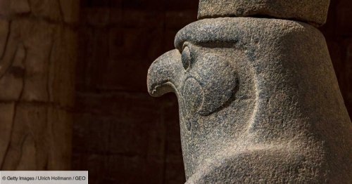 Ricci fête ses 50 ans en Egypte 4 - Le Progrès Egyptien Ricci fête ses 50 ans en Egypte 3 - Le Progrès Egyptien