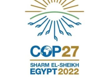L’accueil par l’Egypte de la COP27 a poussé le monde à jeter la lumière sur les défis et les opportunités en Afrique