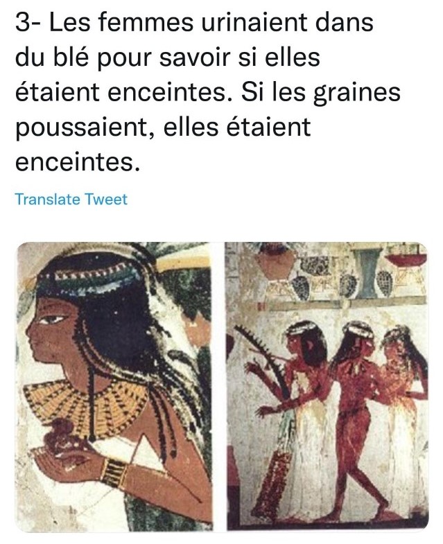 SCOOP ! 10 - Le Progrès Egyptien SCOOP ! 9 - Le Progrès Egyptien