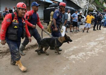 Glissement de terrain au Venezuela : Les secours à la recherche des disparus