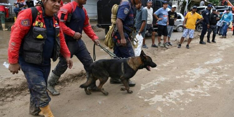 Glissement de terrain au Venezuela : Les secours à la recherche des disparus 2 - Le Progrès Egyptien Glissement de terrain au Venezuela : Les secours à la recherche des disparus 1 - Le Progrès Egyptien