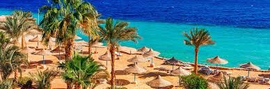 Hurghada, la ville de plaisir en voie d’urbanisation 6 - Le Progrès Egyptien Hurghada, la ville de plaisir en voie d’urbanisation 5 - Le Progrès Egyptien