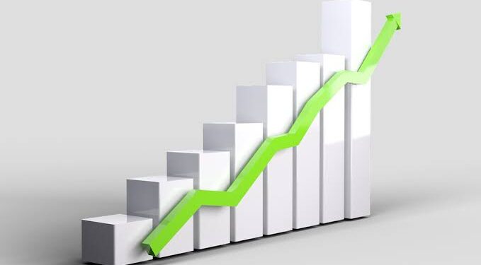 L'Egypte, indomptable face aux crises 1 - Le Progrès Egyptien