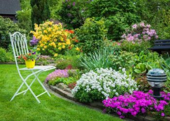 Une brise de Damiette  (2)