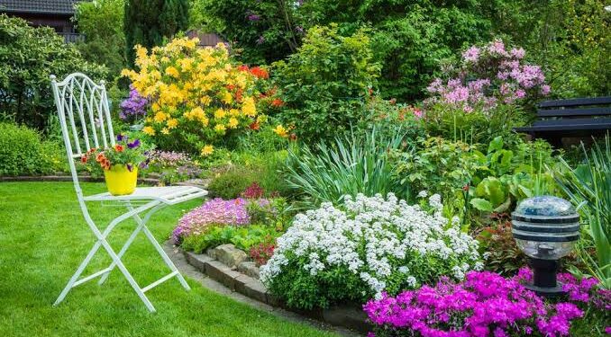 Une brise de Damiette (2) 2 - Le Progrès Egyptien Une brise de Damiette (2) 1 - Le Progrès Egyptien