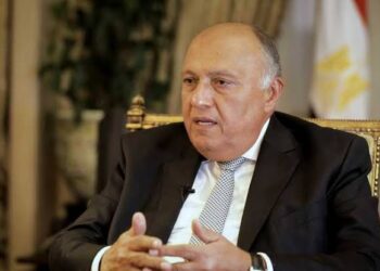 Choucri se dit optimiste sur le Sommet arabe prévu en Algérie