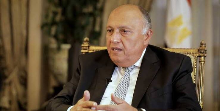 Choucri se dit optimiste sur le Sommet arabe prévu en Algérie 2 - Le Progrès Egyptien Choucri se dit optimiste sur le Sommet arabe prévu en Algérie 1 - Le Progrès Egyptien