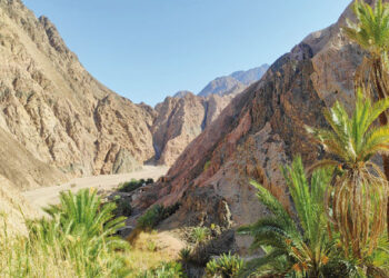 La vallée “Jenniy al-Rayan” à Dahab, le refuge idéal