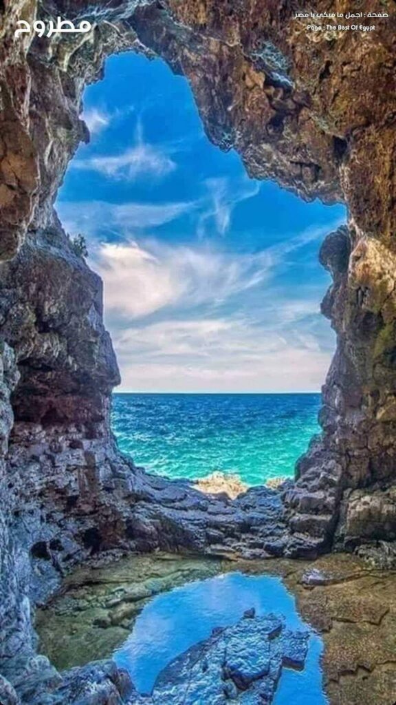 L’Egypte, Charles III et Elon Musk, tendances en vedette 3 - Le Progrès Egyptien