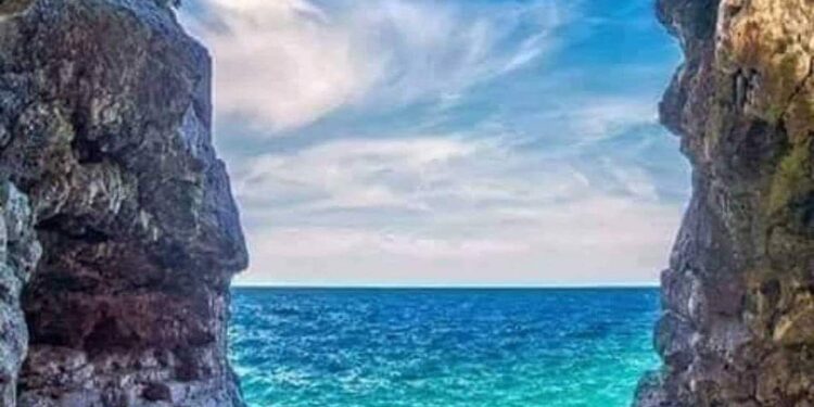 L’Egypte, Charles III et Elon Musk, tendances en vedette 1 - Le Progrès Egyptien