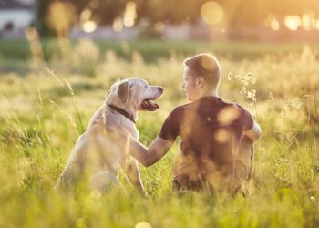 Un animal de compagnie pour une vie heureuse 