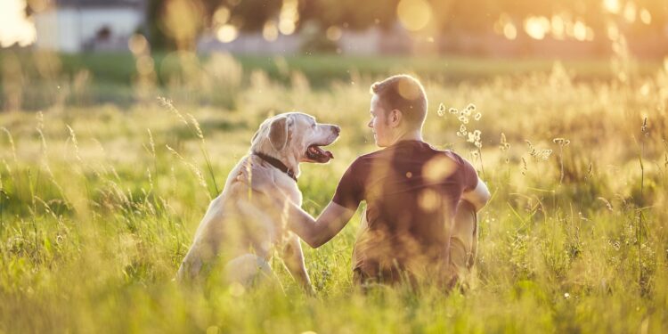 <strong>Un animal de compagnie pour une vie heureuse </strong> 2 - Le Progrès Egyptien <strong>Un animal de compagnie pour une vie heureuse </strong> 1 - Le Progrès Egyptien