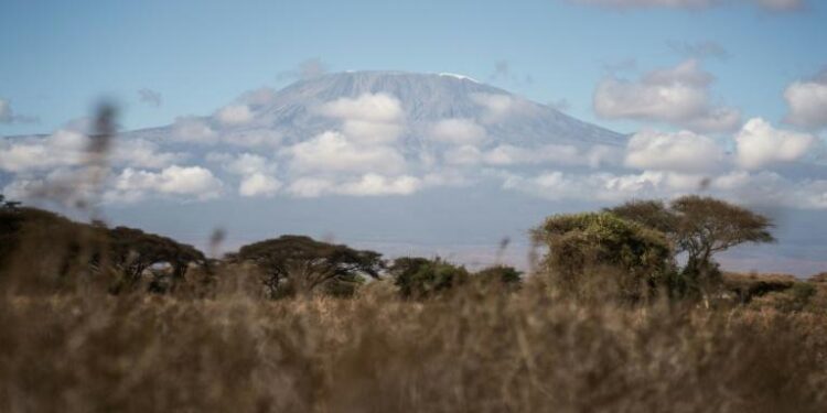 Tanzanie : L’incendie sur le Kilimandjaro est “maîtrisé” 2 - Le Progrès Egyptien Tanzanie : L’incendie sur le Kilimandjaro est “maîtrisé” 1 - Le Progrès Egyptien