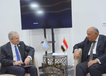 Choucri reçoit le président de la 77ème Assemblée des Nations Unies